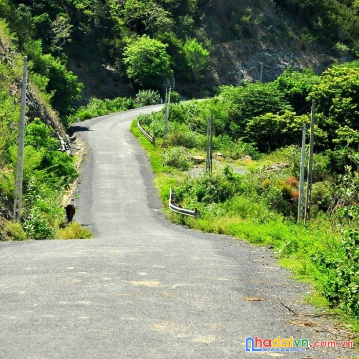 Đất mặt biển ninh vân tại xã ninh vân, tx ninh hòa, khánh hòa