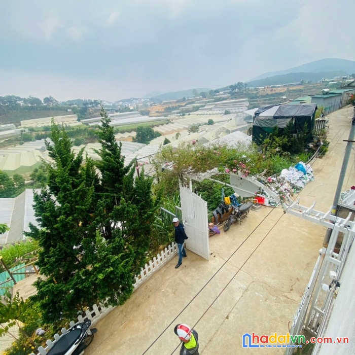 (nhà giá rẻ đây) chỉ 1.4 tỷ sở hữu căn nhà đẹp đường huyền trân công chúa, đà lạt