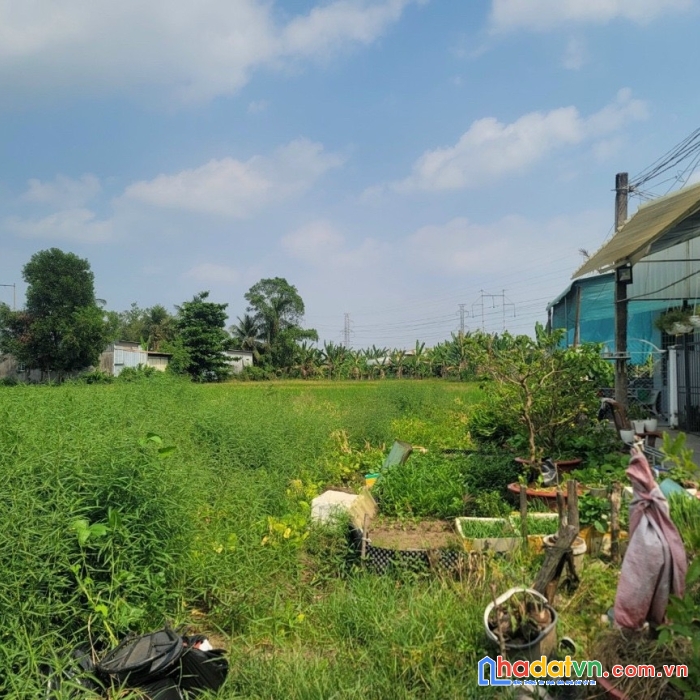 Cần bán 1930m2 đất hẻm liên tổ 678  ở phường trà nóc, quận bình thủy, thành phố cần thơ.