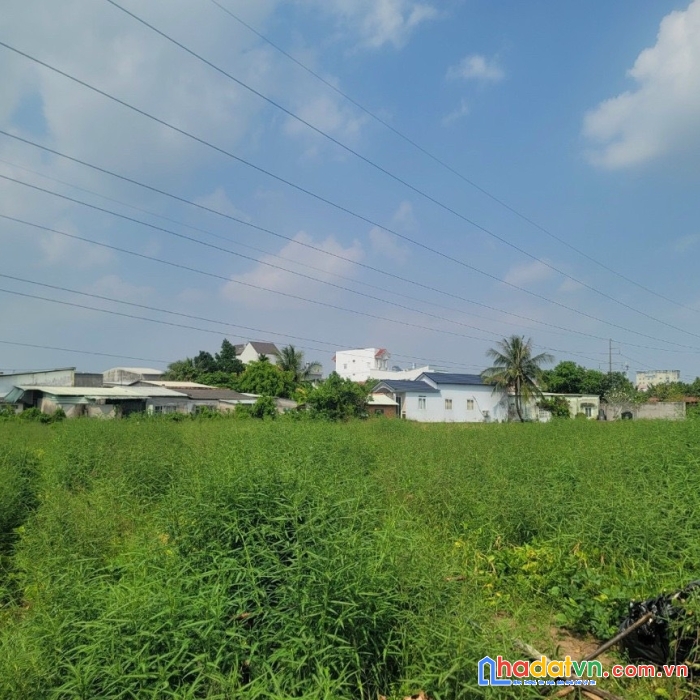 Cần bán 1930m2 đất hẻm liên tổ 678  ở phường trà nóc, quận bình thủy, thành phố cần thơ.