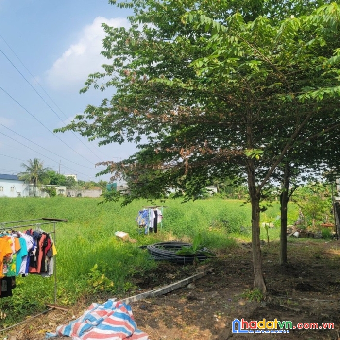 Cần bán 1930m2 đất hẻm liên tổ 678  ở phường trà nóc, quận bình thủy, thành phố cần thơ.