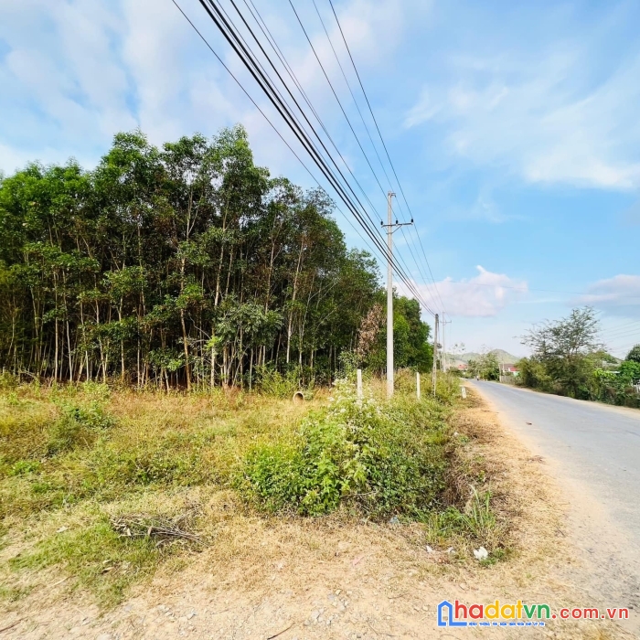 Bán lô đất mặt tiền hương lộ 62 diên tân diên khánh