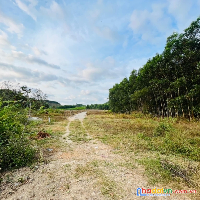 Bán lô đất mặt tiền hương lộ 62 diên tân diên khánh