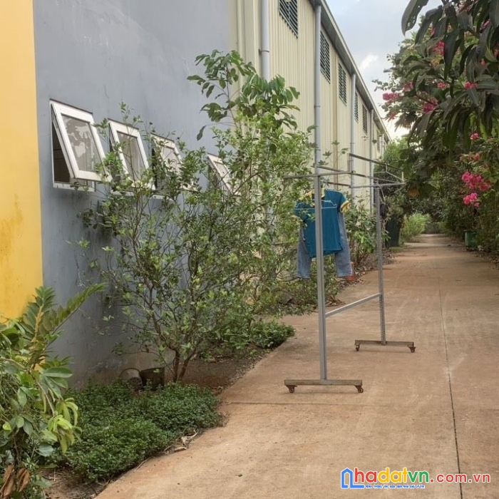 Bán nhà xưởng kcn lộc an long thành, đồng nai 10.000 m2