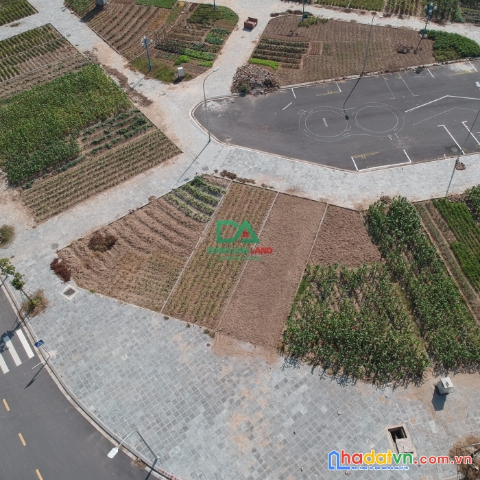 Cần bán 80m² đất đấu giá thôn lê xá, gần cầu đông trù, đông hội, đông anh, hn