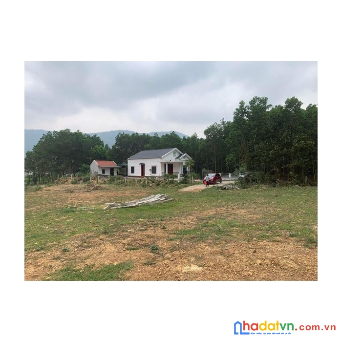 Cắt lỗ sâu cần bán lô đất 1,1 hecta tại ngọc thanh, phúc yên, vĩnh phúc