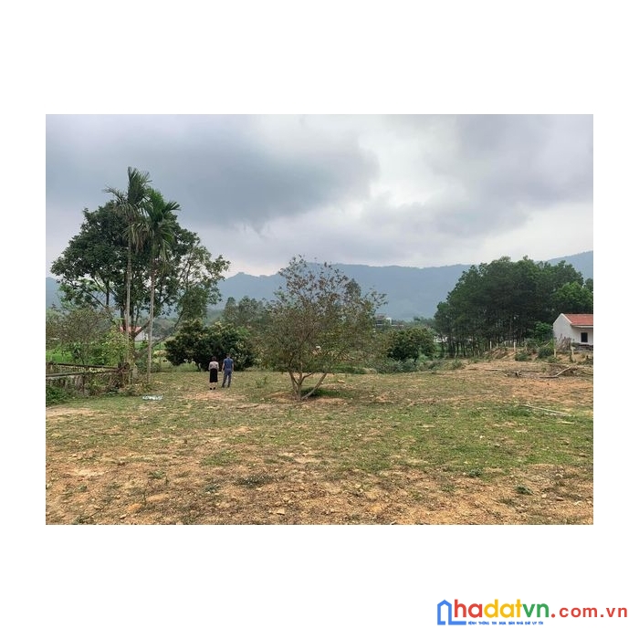 Cắt lỗ sâu cần bán lô đất 1,1 hecta tại ngọc thanh, phúc yên, vĩnh phúc