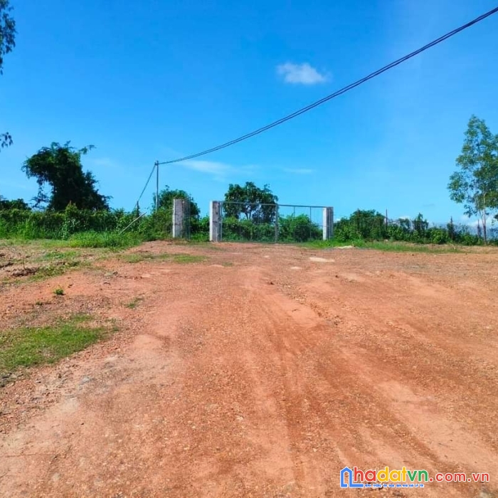 Siêu trang trại 18ha ninh thượng, ninh hòa giá rẻ