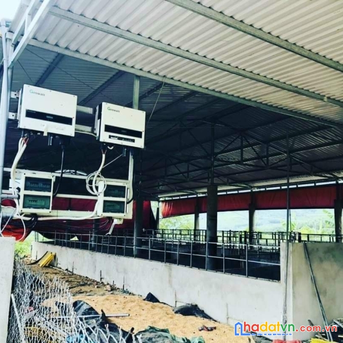Siêu trang trại 18ha ninh thượng, ninh hòa giá rẻ