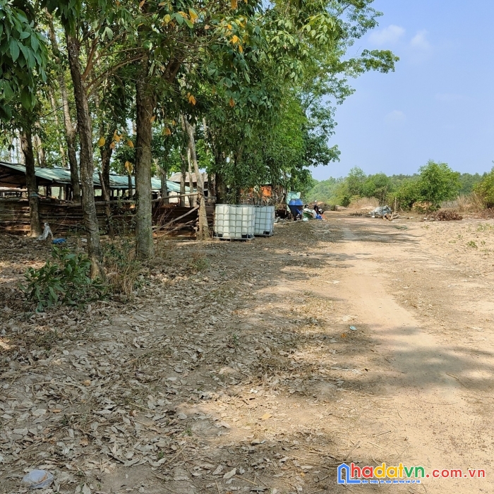 Cần bán gấp đất ở uyên hưng, tân uyên, bình dương