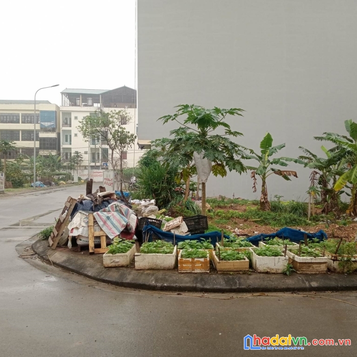 Bán đất đấu giá yên nghĩa, hà đông, đường 13.5m, 60m2, mt4.5m, giá 5 tỷ