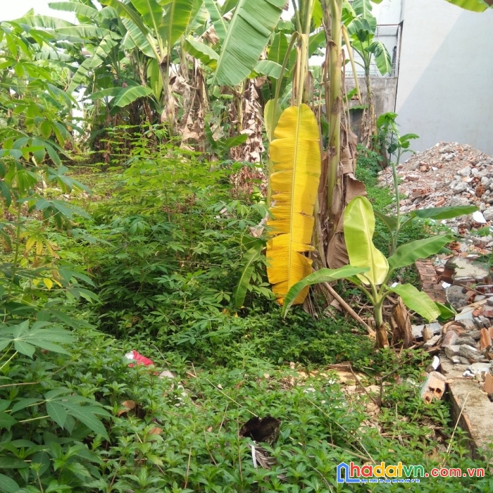 Chính chủ cần bán nhanh lô đất vị trí đẹp tại phường hưng phú, quận cái răng, tp cần thơ