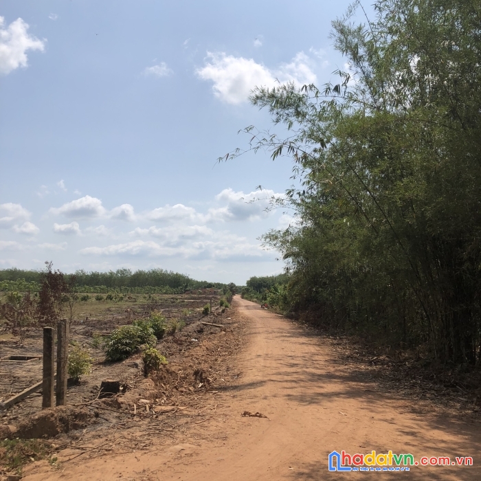 1000m2 đất vàng giá chỉ bình dân chỉ 4xx triệu - sổ hồng riêng tây ninh