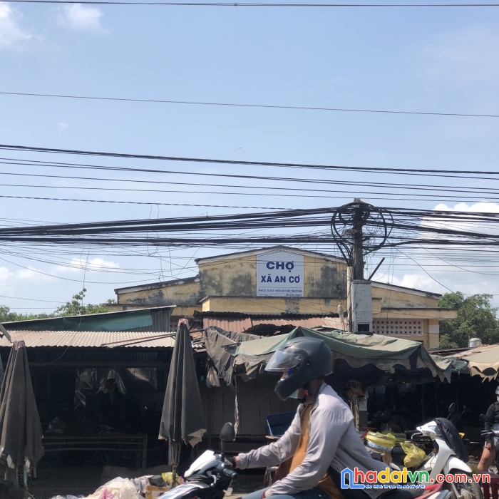 1000m2 đất vàng giá chỉ bình dân chỉ 4xx triệu - sổ hồng riêng tây ninh