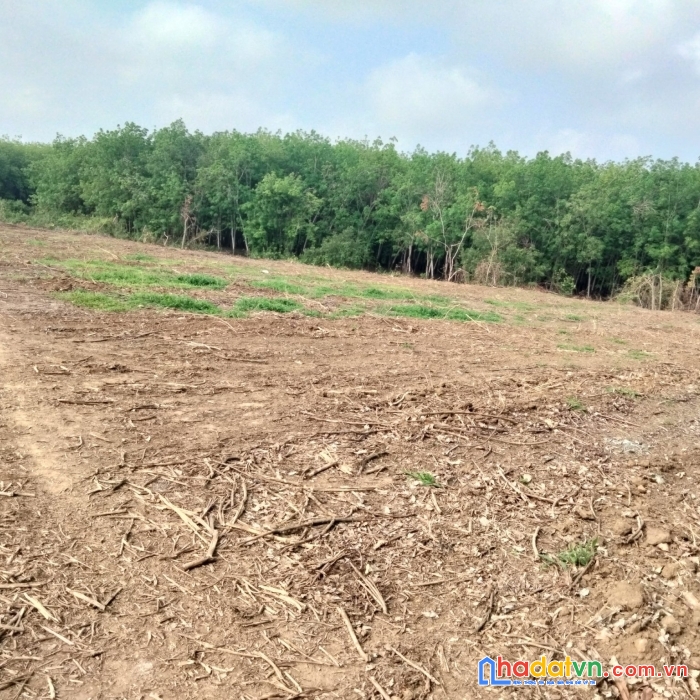 1000m2 đất vàng giá chỉ bình dân chỉ 4xx triệu - sổ hồng riêng tây ninh