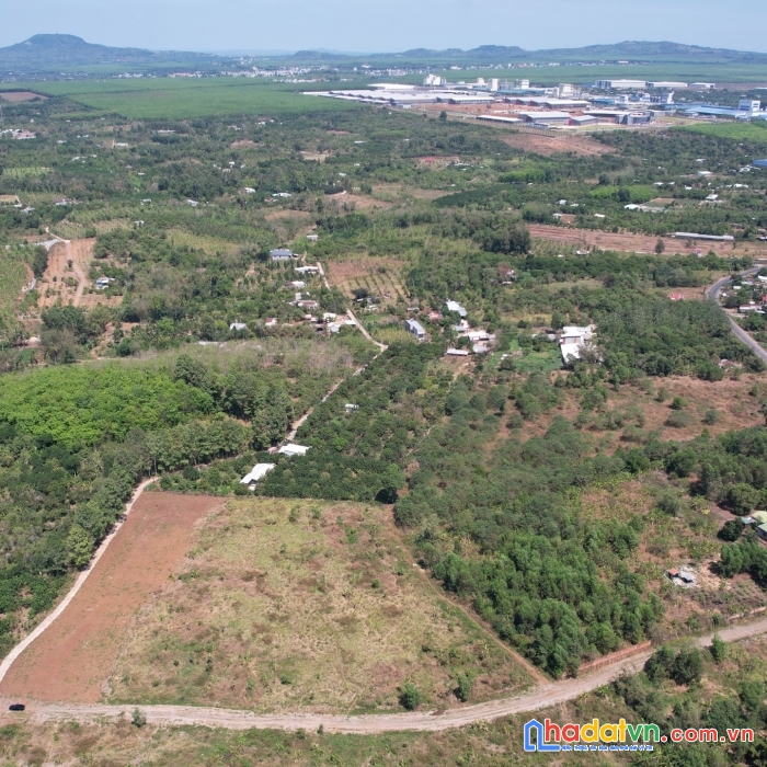 Bán 178m2 đất sổ hồng thổ cư 100% khu công nghiệp dầu giây,đông nai giá rẻ