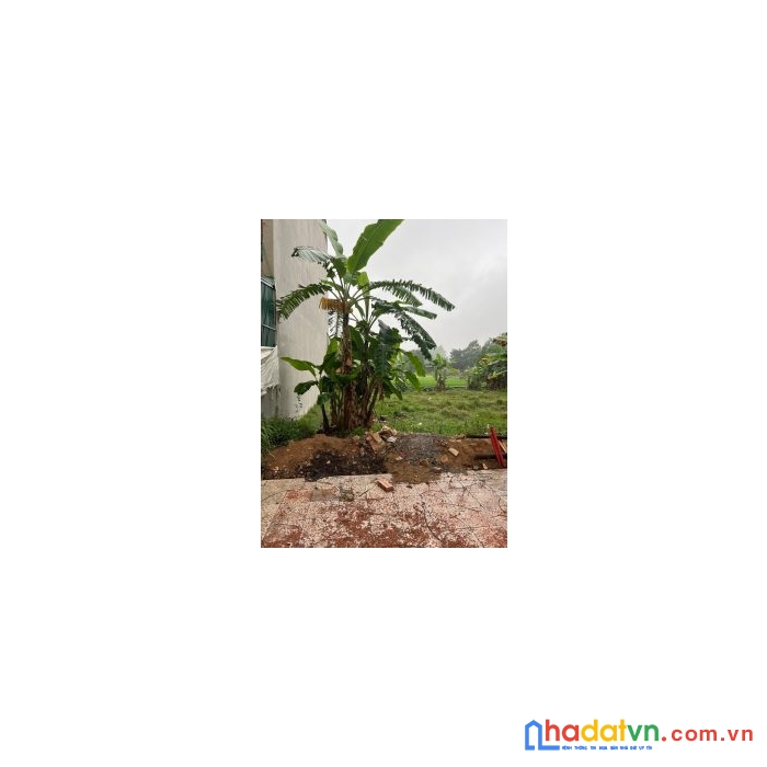 Chính chủ cần bán lô đất mặt tiền vị trí đẹp tại vĩnh phúc