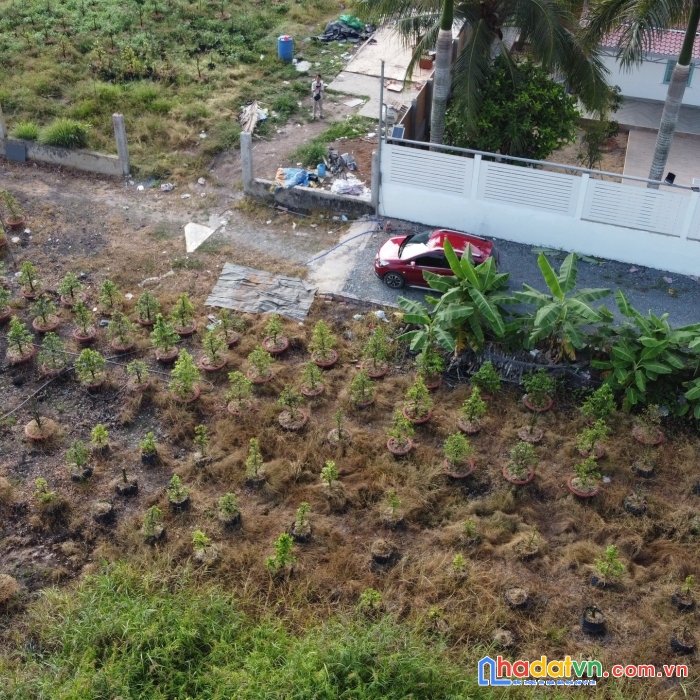 Bán lô đất nghỉ dưỡng đường vườn thơm - xã bình lợi - huyện bình chánh
