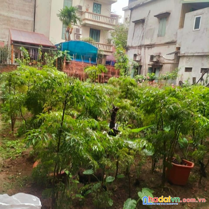 Bán đất xuân la đầu tư chia lô, xây văn phòng, ccmn, homestay, ngõ ô tô tránh 208m chỉ 15 tỷ