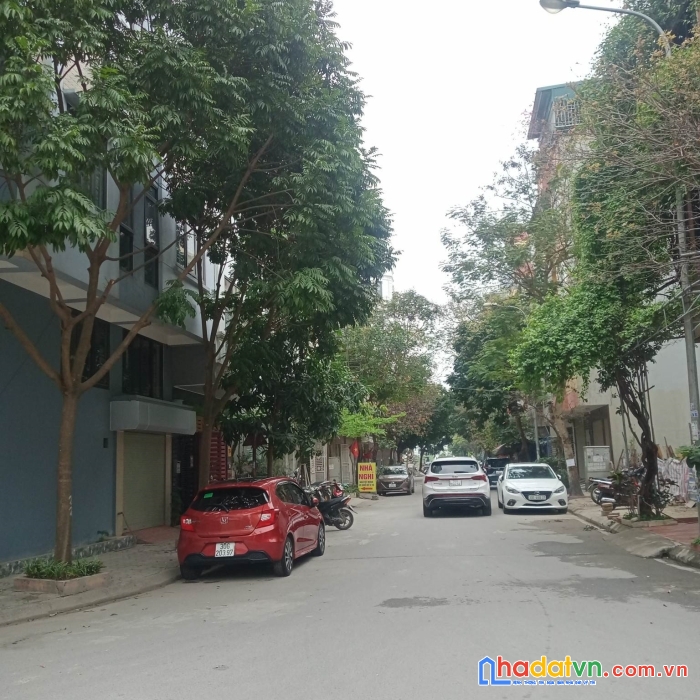 Bán gấp đất dịch vụ hàng bè, kiến hưng, hà đông, 50m2, mt4m, giá 5 tỷ