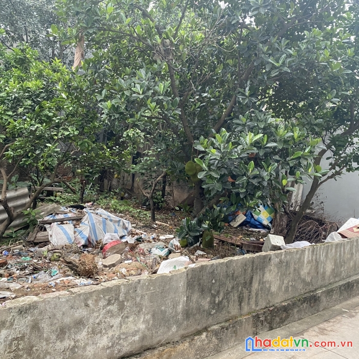 Chính chủ cần bán đất tại xóm hậu, uy nỗ, đông anh đẹp long lanh.