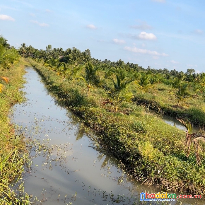 Chính chủ bán nhanh lô đất - siêu đẹp - siêu đắc địa tại an ngãi trung - ba tri - bến tre