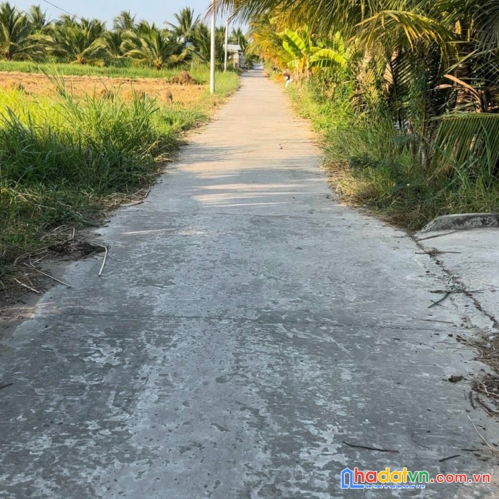 Chính chủ bán nhanh lô đất - siêu đẹp - siêu đắc địa tại an ngãi trung - ba tri - bến tre