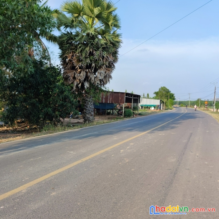 Hơn 2300m2 đất vườn sổ hồng riêng - cơ hội đầu tư giá rẻ cho các nhà đầu tư thông thái!!!