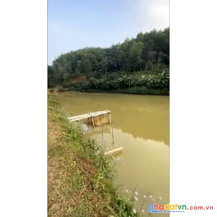 Chính chủ bán 11000m2 đất thổ cư vườn đồi, chợ mới, bắc kạn, chỉ hơn 300k/m2