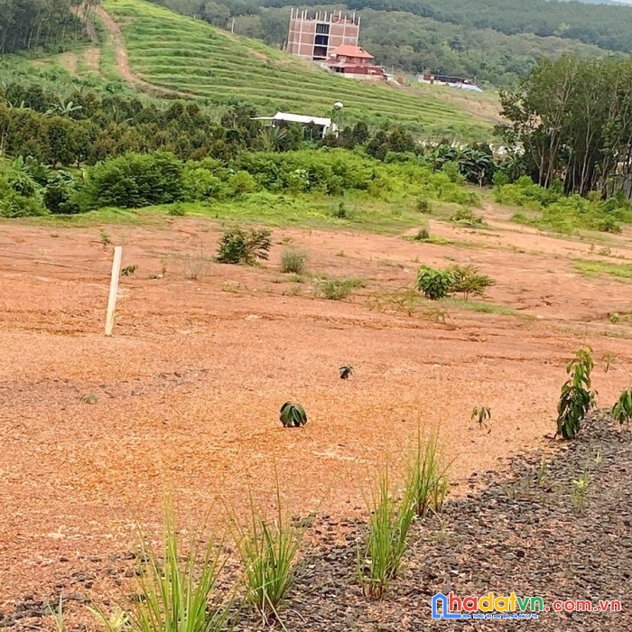 Chính chủ cần bán lô đất tiềm năng tại đồng tiến - đồng phú - bình phước