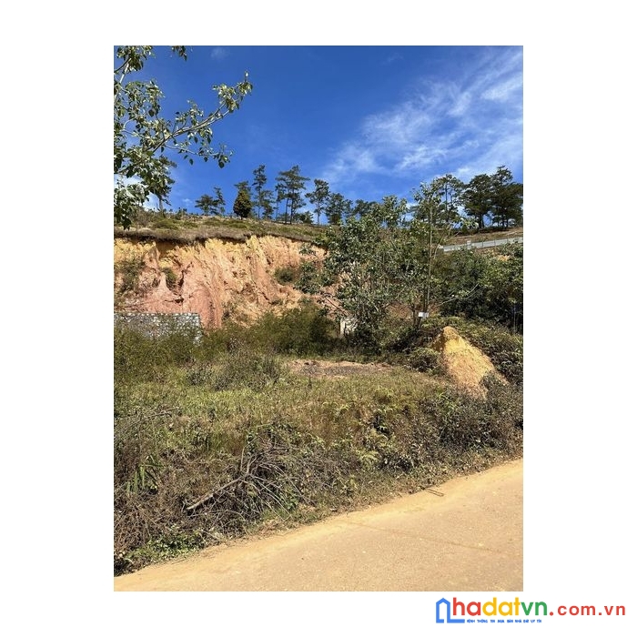 Ngộpppp.......bán gấp đất biệt thự view đẹp tại kqh măng ling, đà lạt 763m2 giá chỉ 9.9 triệu/m2