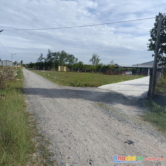 Chính chủ cần bán đất tại ấp trường đức, xã trường đông, tx hoà thành, tỉnh tây ninh