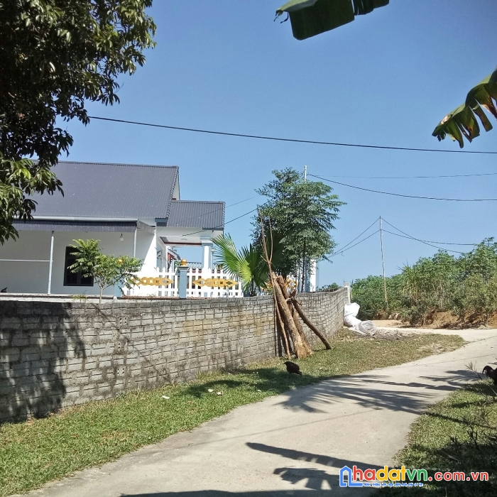 Chính chủ bán lô đất hoa hậu thôn phú vinh, ngọc phụng, huyện thường xuân, thanh hóa