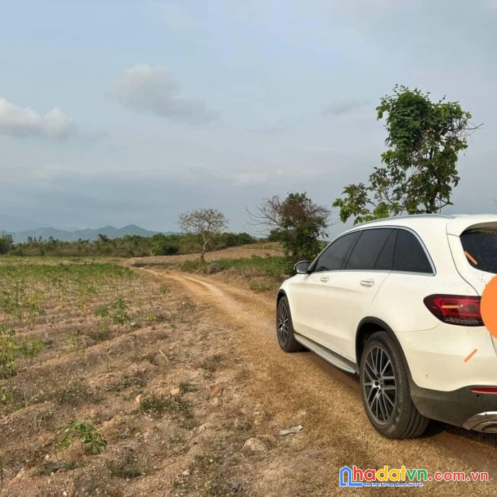 Bán 5 lô đất vườn có thổ thích hợp làm biệt thự vườn ninh sim ninh hòa