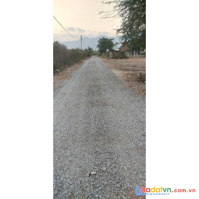 Bán 5 lô đất vườn có thổ thích hợp làm biệt thự vườn ninh sim ninh hòa