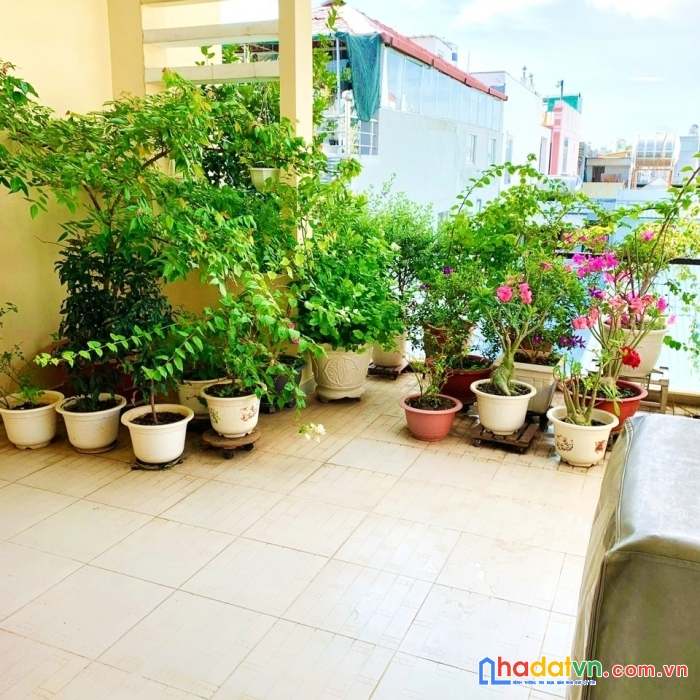 Định cư muốn bán nhanh nhà hxh 5m thông 1 trục lê hồng phong q10, 6 tầng, 55m2, 10.6 tỷ
