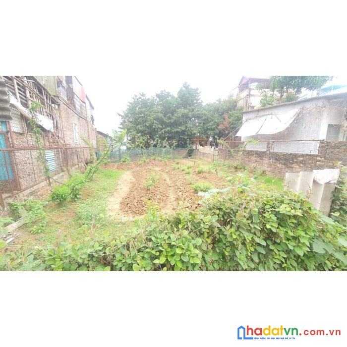 Bán đất ba đình xây văn phòng, ccmn, homestay, ngõ thông ô tô tránh 200m chỉ 17.9 tỷ