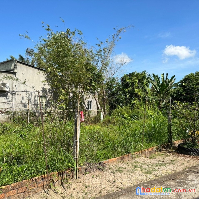 Chính chủ cần bán gấp nền biệt thự vườn đẹp-giá cực ưu đãi tại tp cần thơ
