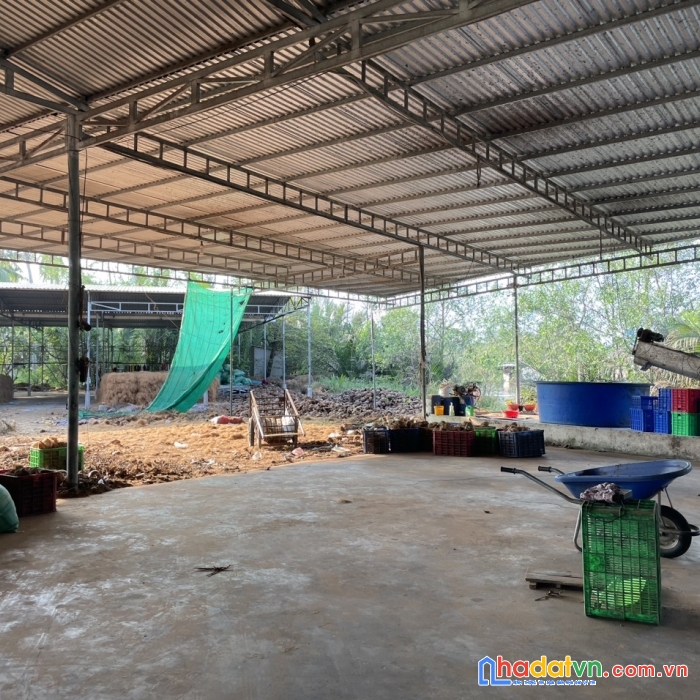 Chính chủ bán nhanh lô đất 2 mặt tiền tặng nhà xưởng tại quốc lộ 60, bến tre - giá đầu tư