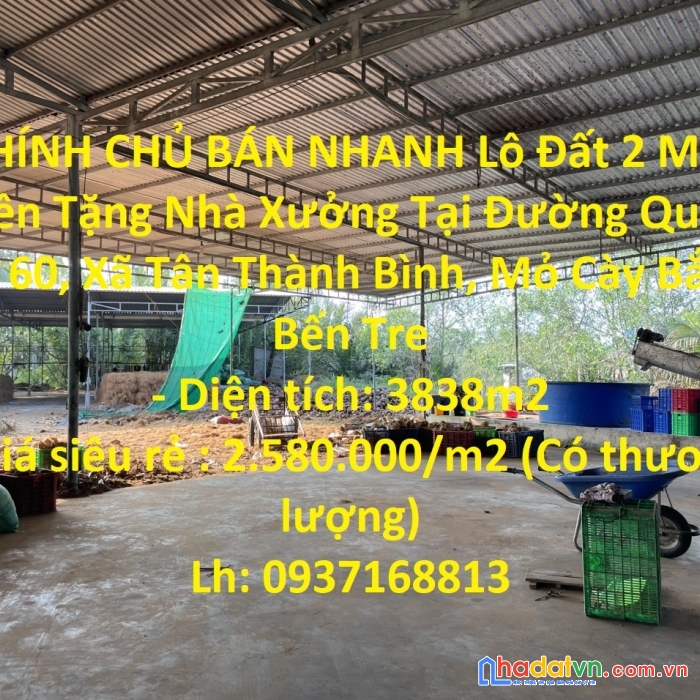Chủ bán nhanh đất 2 mặt tiền tặng nhà xưởng tại quốc lộ 60, bến tre - giá đầu tư