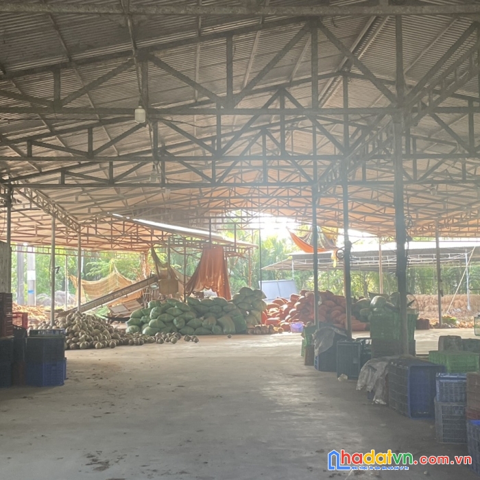 Chủ bán nhanh đất 2 mặt tiền tặng nhà xưởng tại quốc lộ 60, bến tre - giá đầu tư