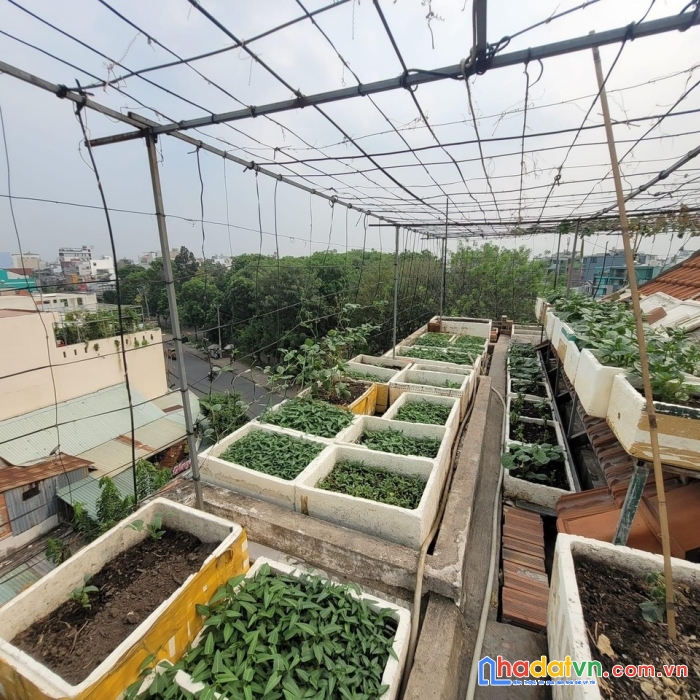 Chính chủ bán nhà căn góc đường cn1, 5 tầng, nhựa 20m, 132m2 giá 32 tỷ, sát aeon mall tân phú.