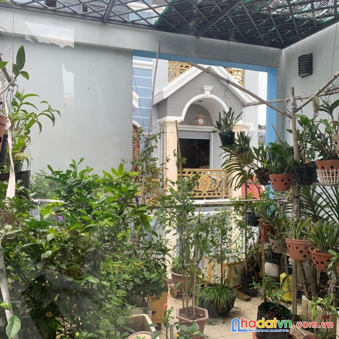 Khu bàu cát hxh nguyễn hồng đào p14 q.tân bình