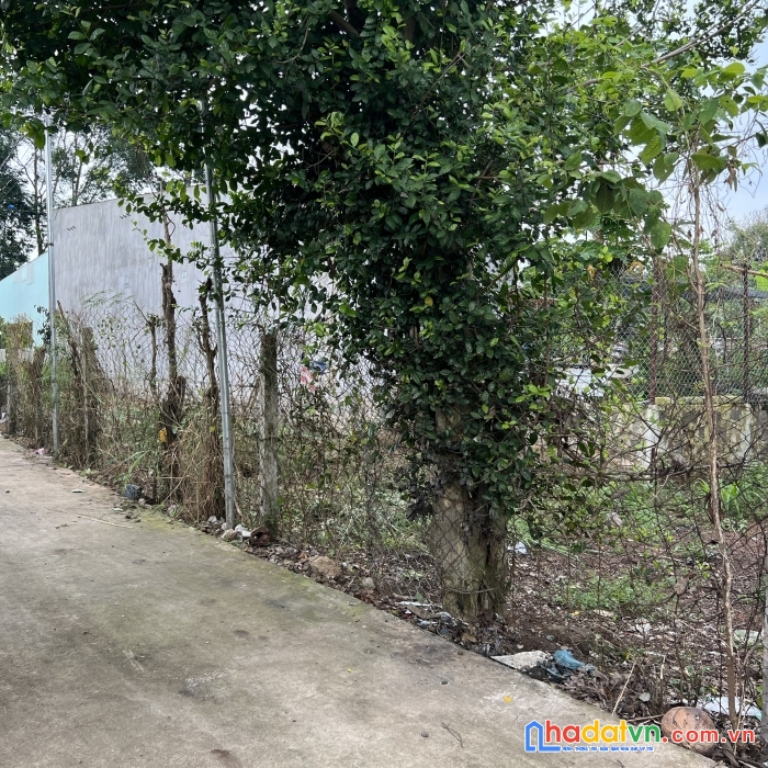 Chính chủ cần bán gấp 100m2 tc tại tp. long khánh chỉ 1 tỷxxx