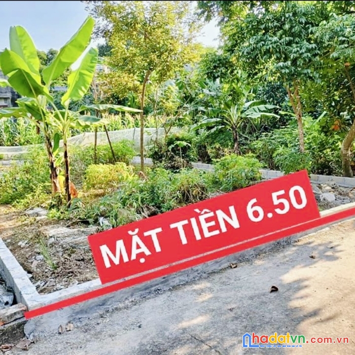 Chính chủ bán đất đường thông thôn 7 tân xã gần ngay công nghệ cao hòa lạc