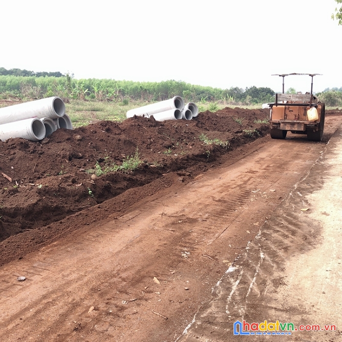 Đất nền sổ đỏ khu công nghiệp dầu giây, mặt tiền đường 32m, giá ưu đãi đợt 1
