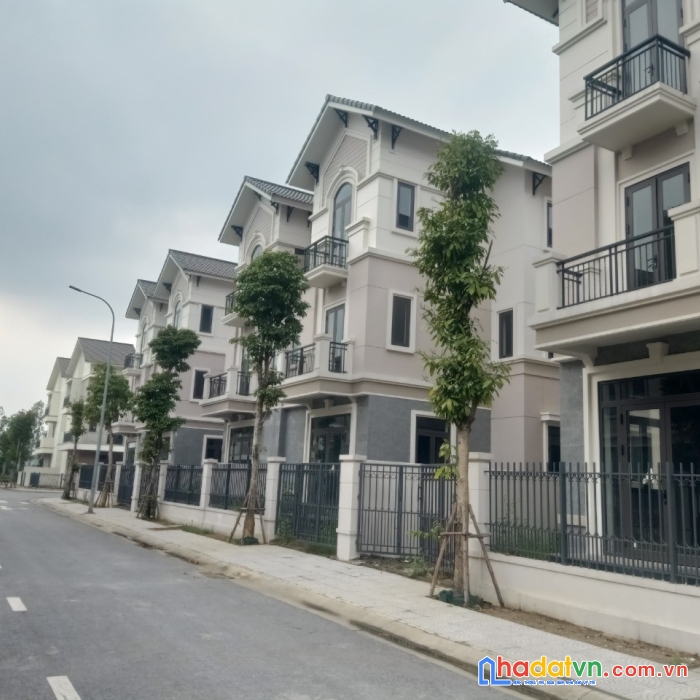 Biệt thự song lập giá tốt nhất trung tâm vùng thủ đô, sổ hồng lâu dài.