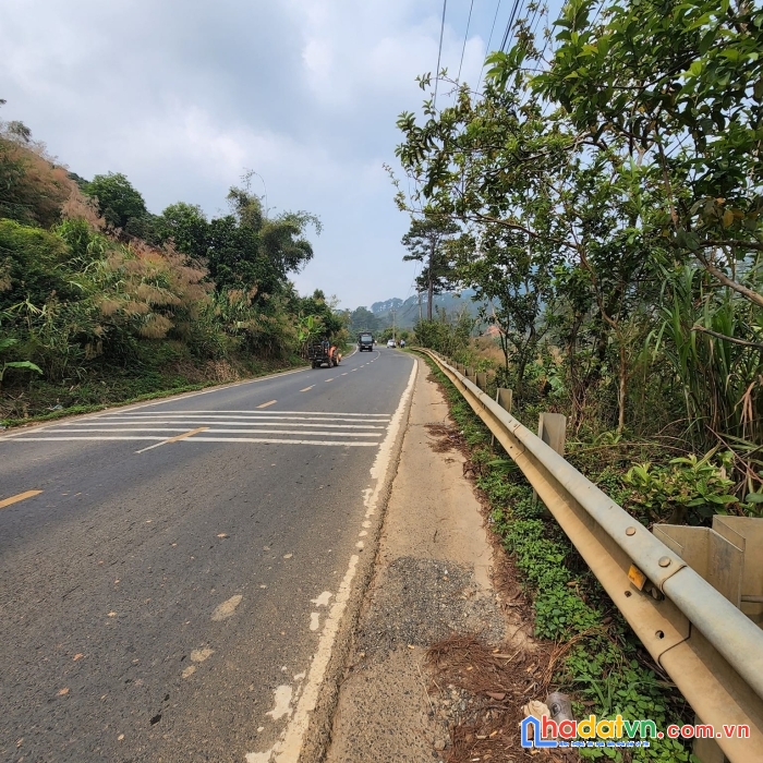 ( ngộpppp ) bán gấp lô đất mặt tiền ql723 tại đa sar, lạc dương 2400m giá chỉ 6.5 tỷ