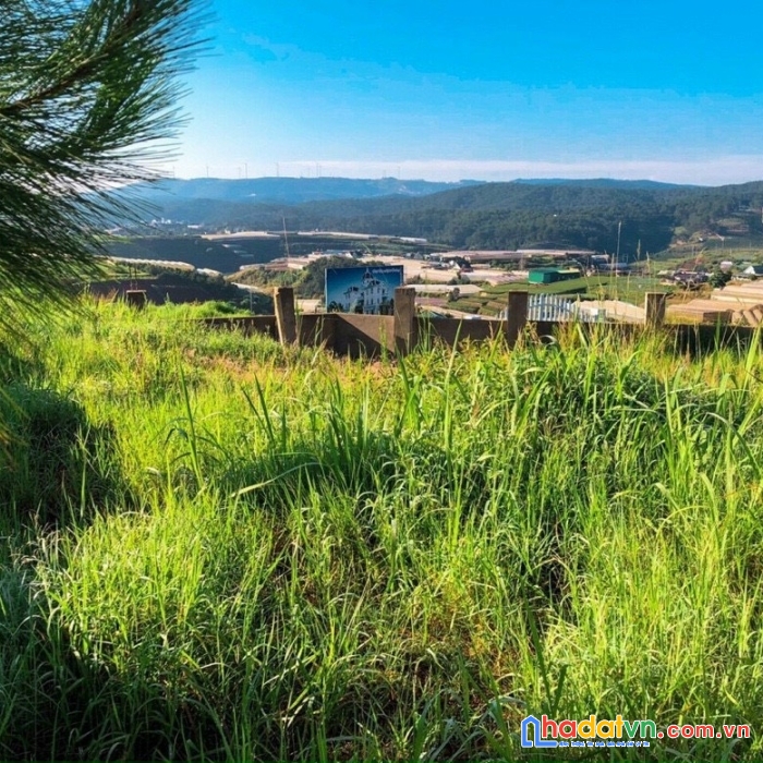 Cần bán gấp đất nền biệt thự view đẹp tại xuân thọ, đà lạt