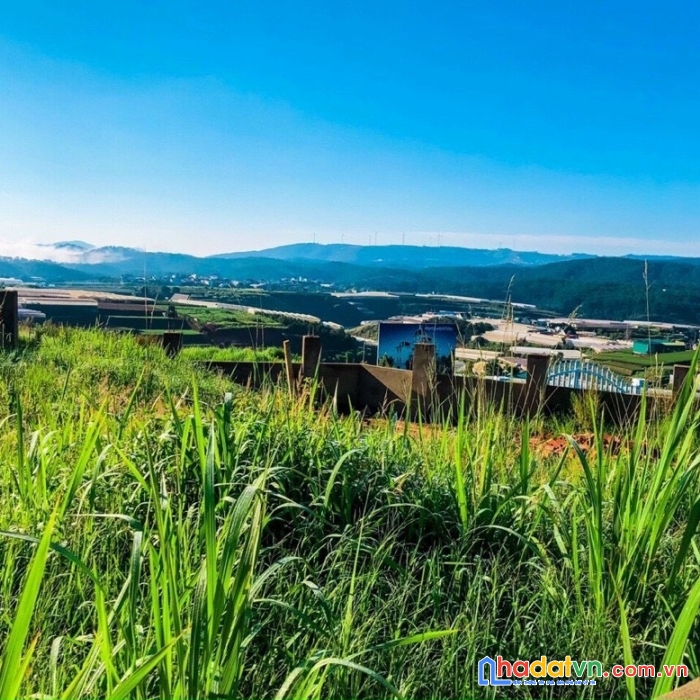 Cần bán gấp đất nền biệt thự view đẹp tại xuân thọ, đà lạt